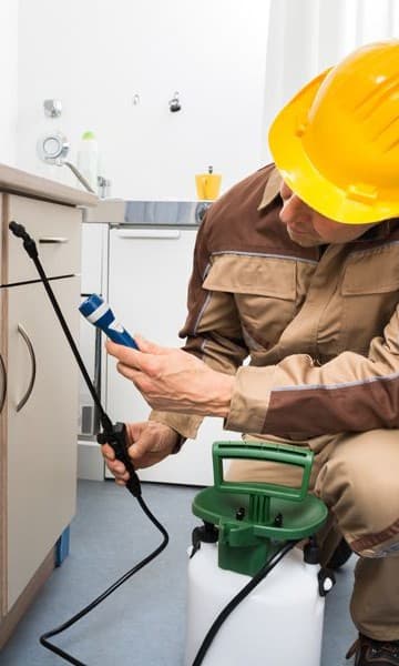 Pest Treatment
